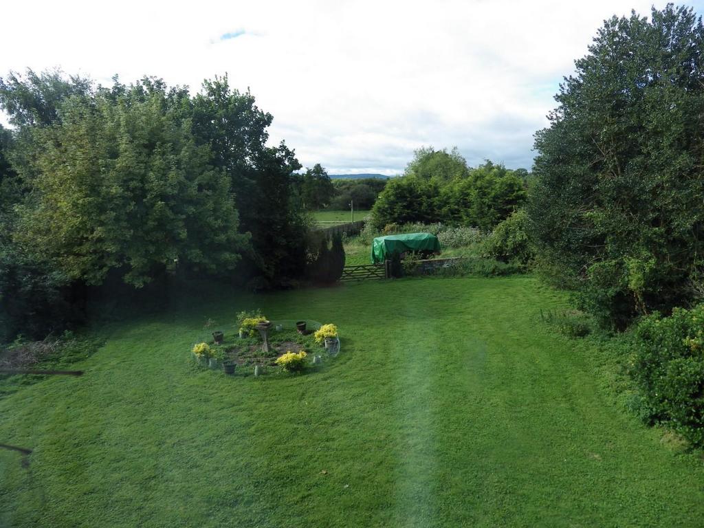 Garden.JPG