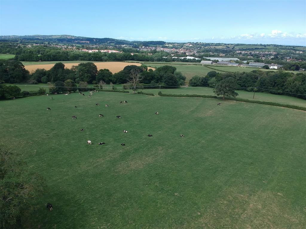 Dji 2474.jpg