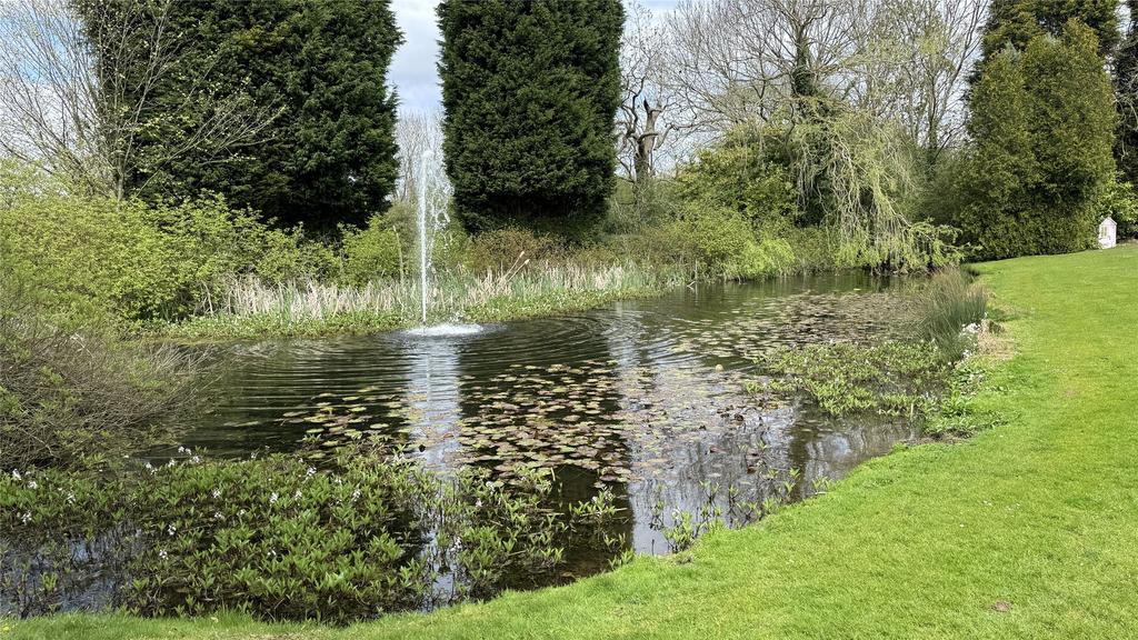 Grounds