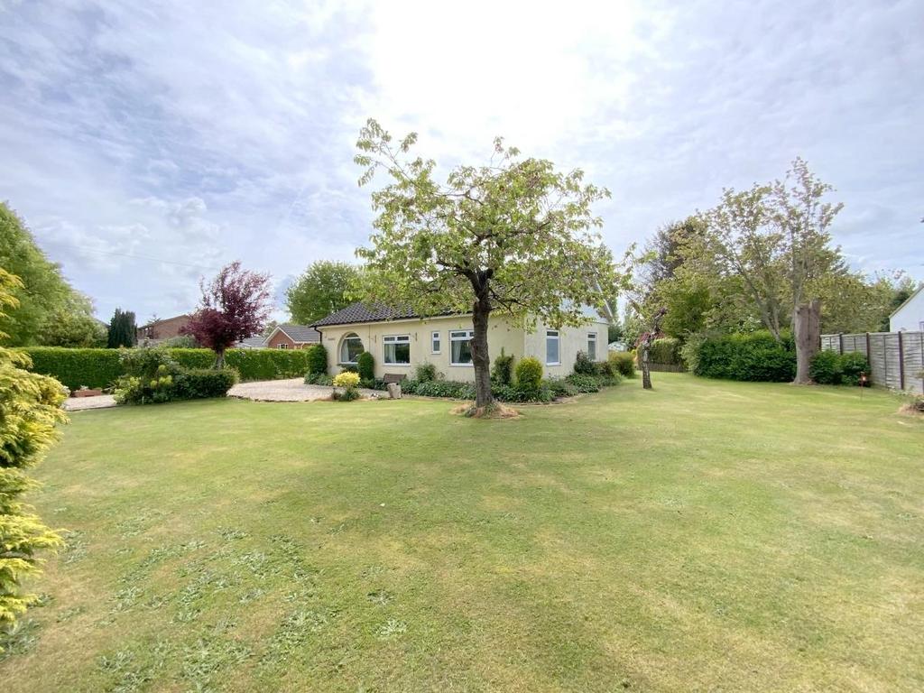 Resized IMG 6485.jpg