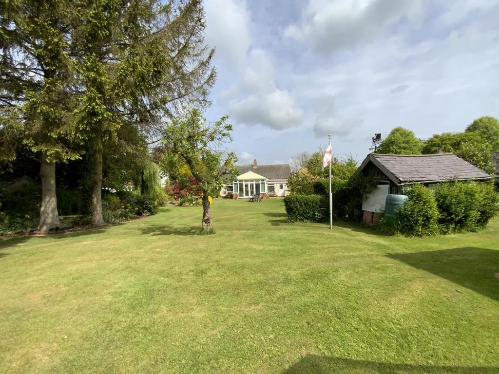 Resized IMG 6453.jpg