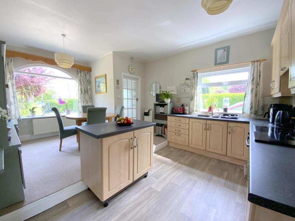 Resized IMG 6444.jpg