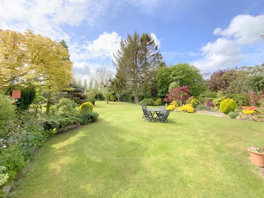 Resized IMG 6448.jpg