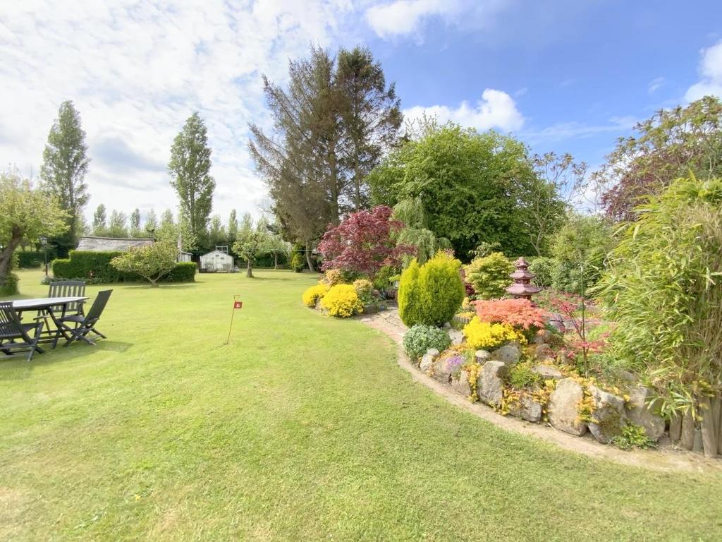 Resized IMG 6449.jpg