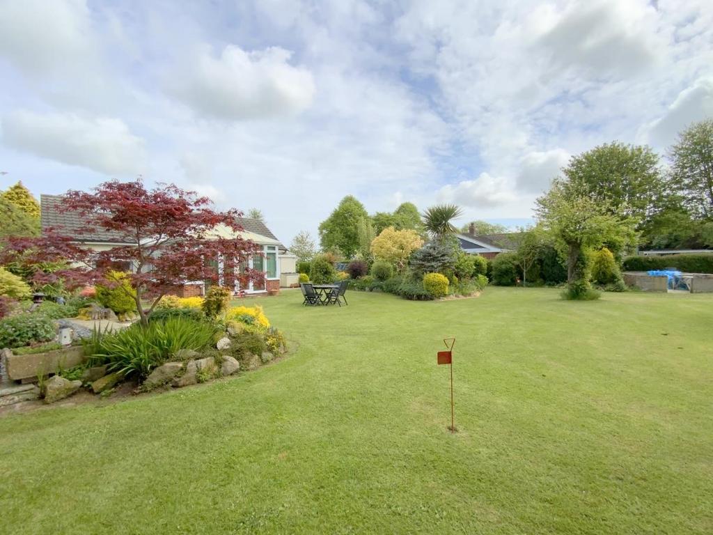 Resized IMG 6450.jpg