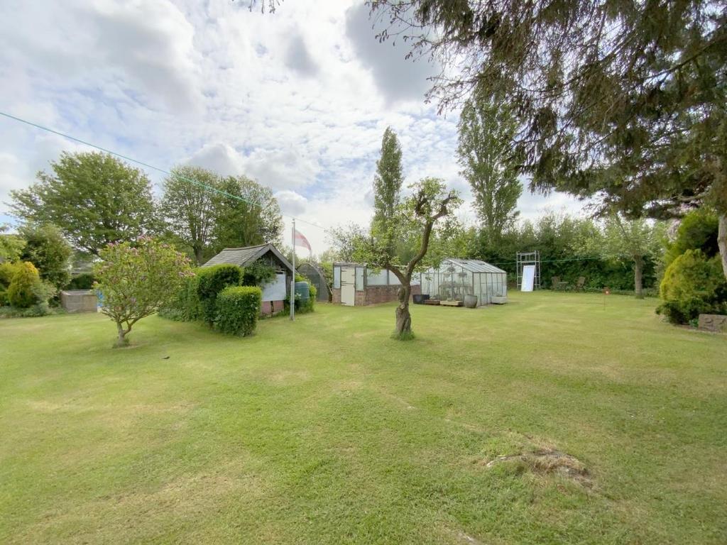 Resized IMG 6451.jpg