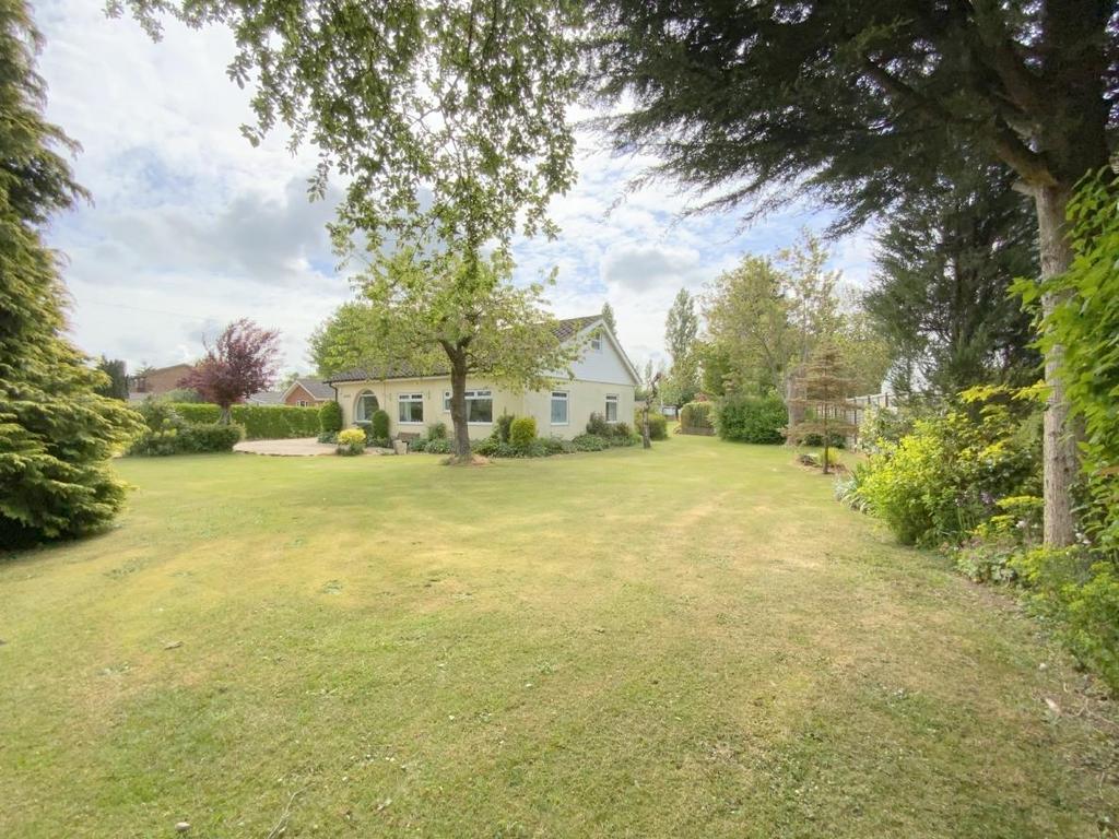 Resized IMG 6467..jpg