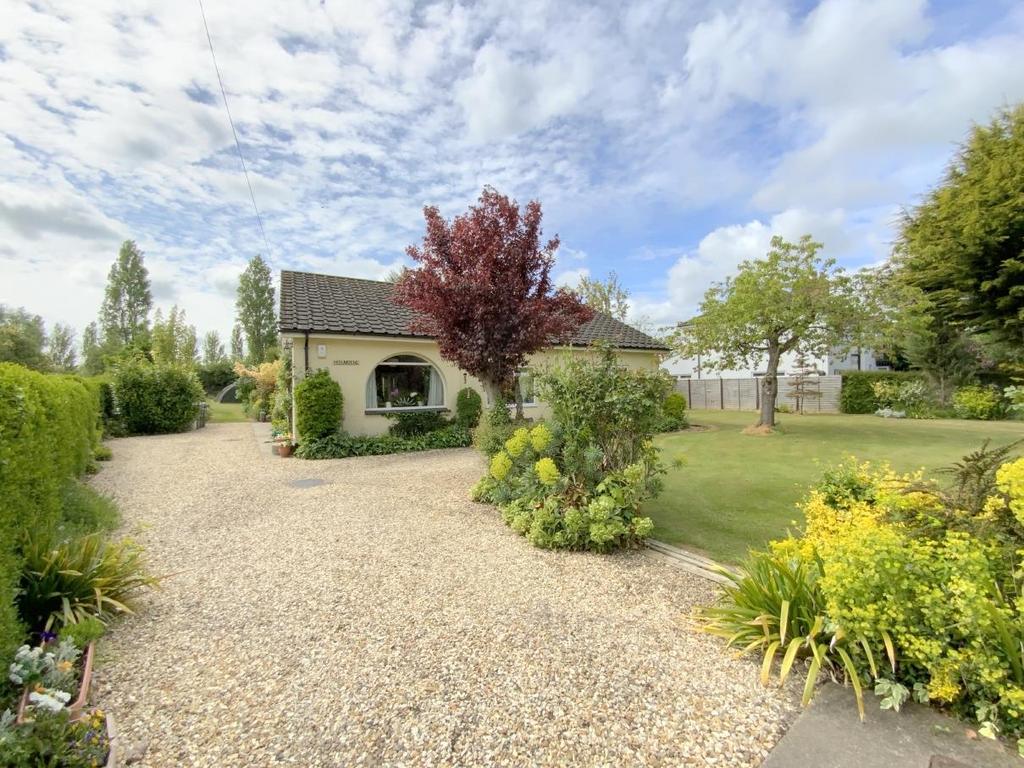 Resized IMG 6470.jpg