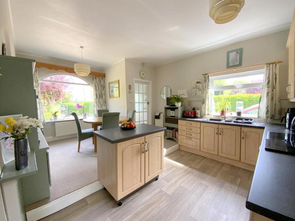 Resized IMG 6421.jpg