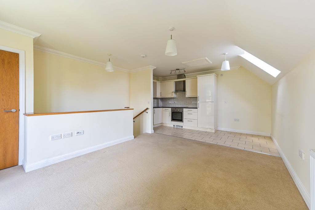 Kitchen/Dining/Living