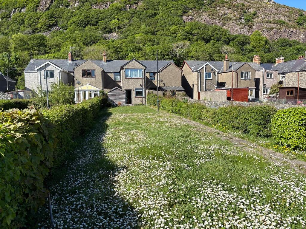 Back Garden (1).jpg