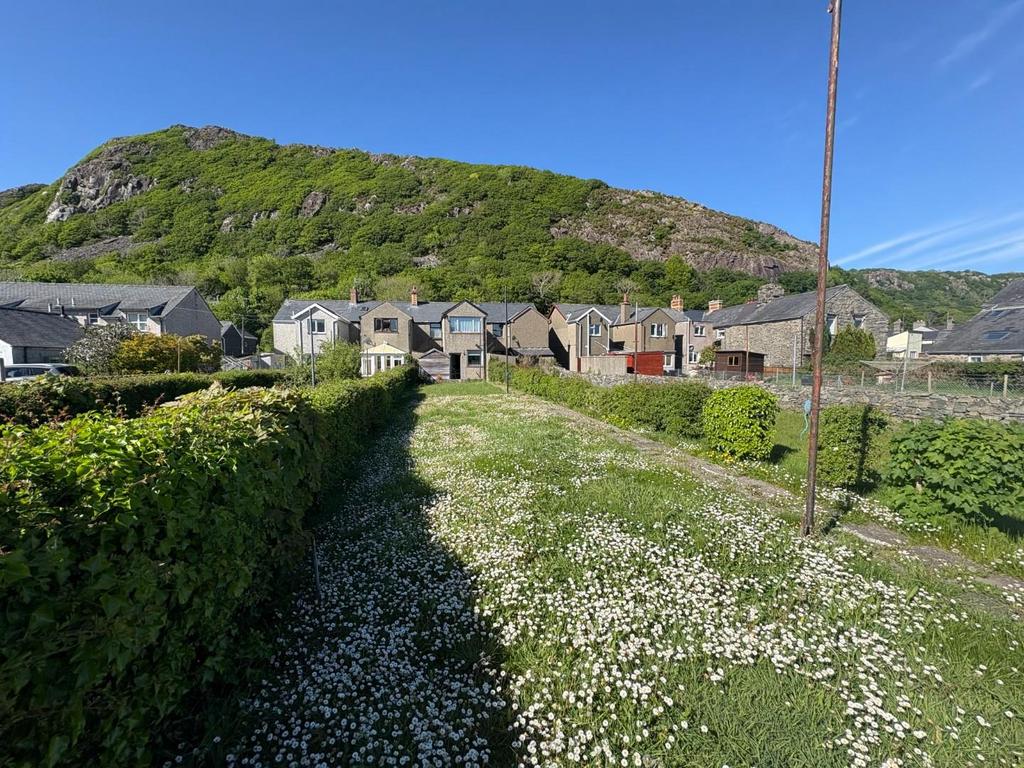 Back Garden (2).jpg