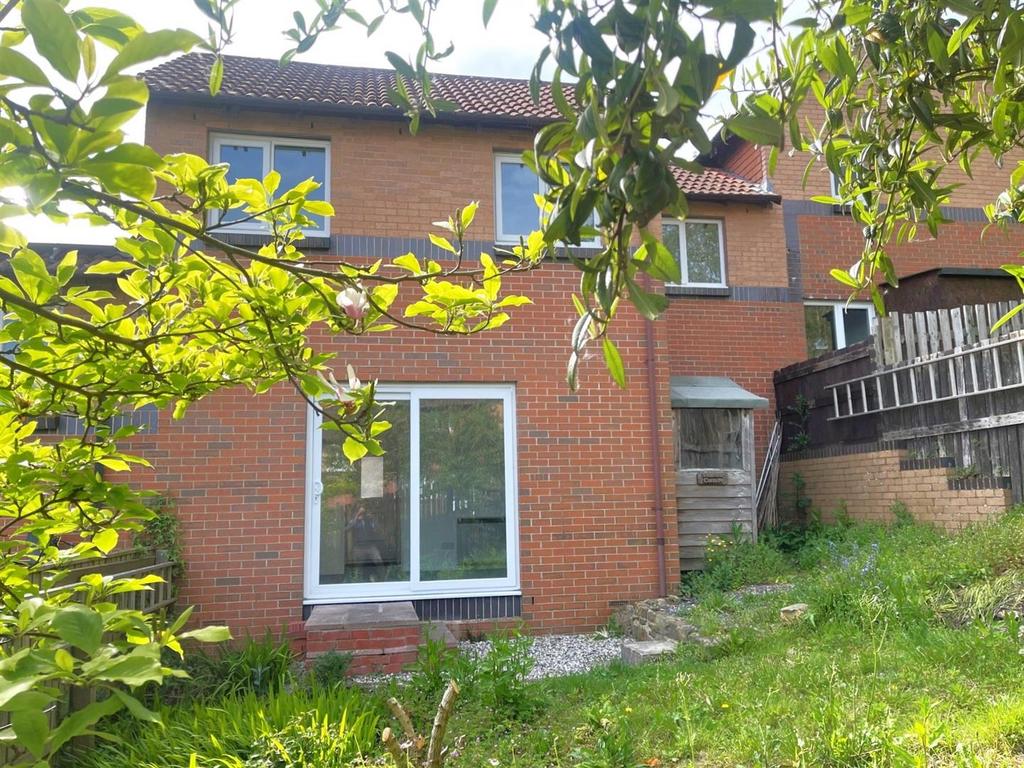 Rear Elevation