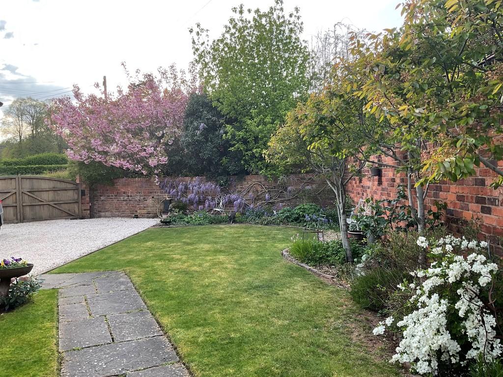 Garden 3