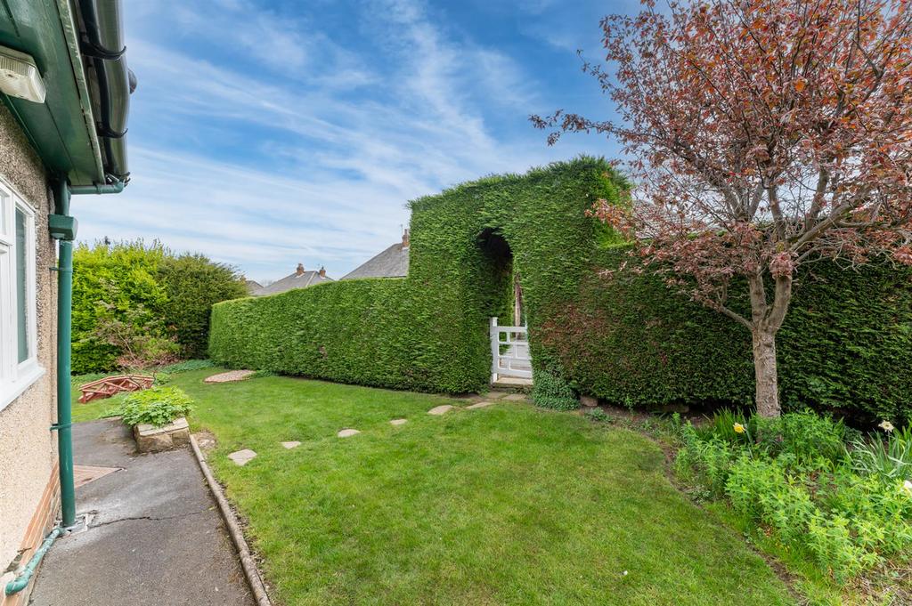 Side Garden