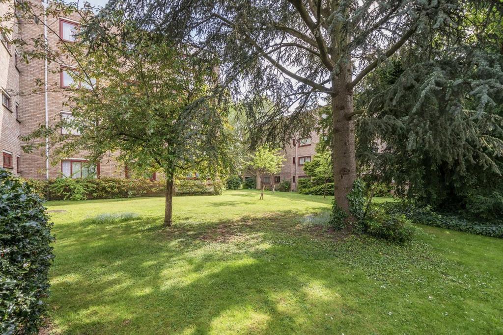 Communal garden, garden