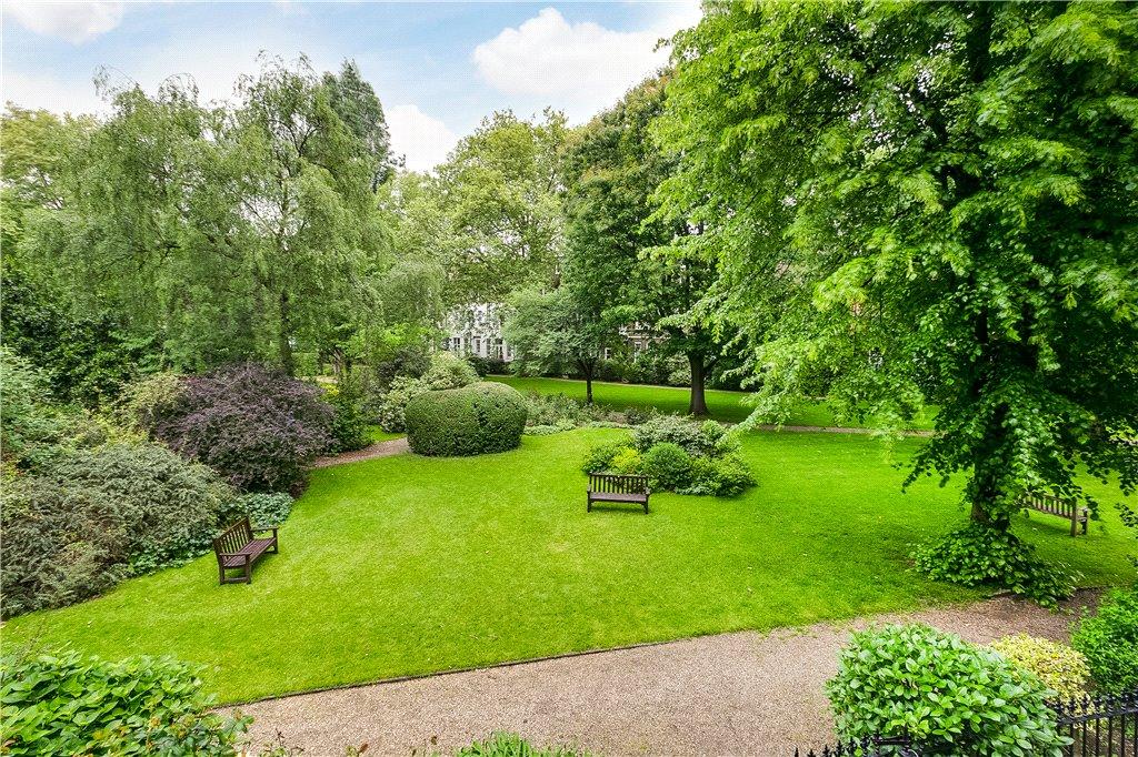 Picture 14