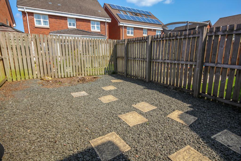 64 Dalyell - Small Redone-01