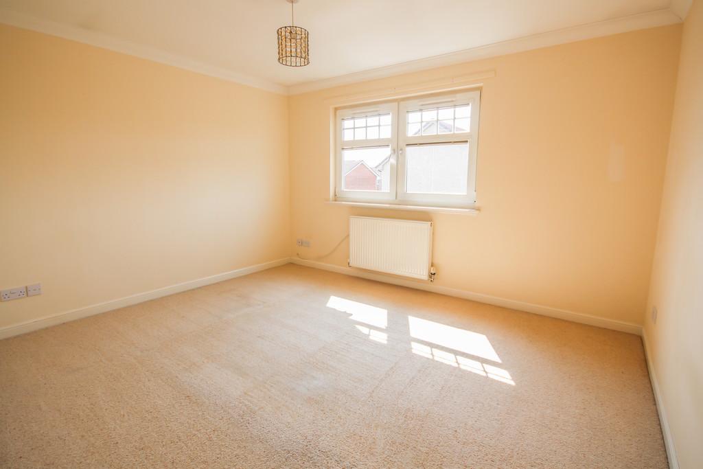 64 Dalyell - Small Redone-04