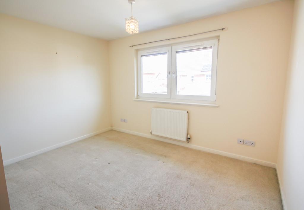 64 Dalyell - Small Redone-09