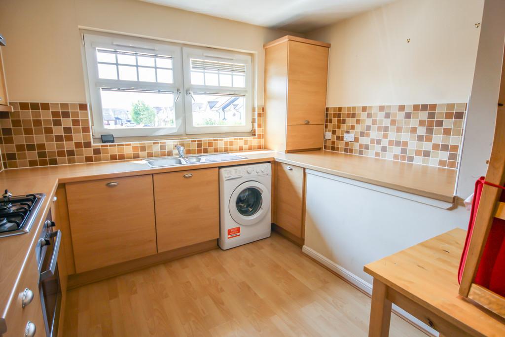 64 Dalyell - Small Redone-10
