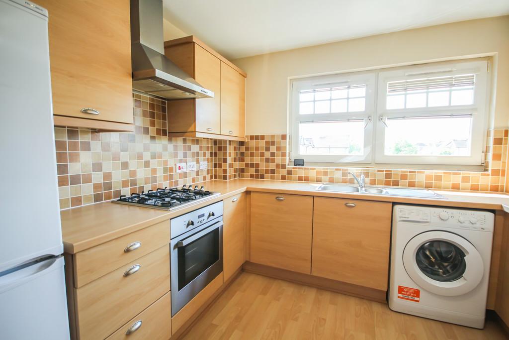64 Dalyell - Small Redone-11