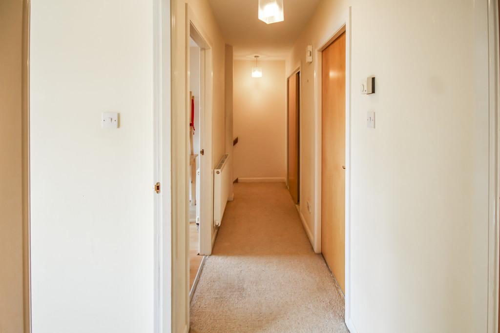 64 Dalyell - Small Redone-13