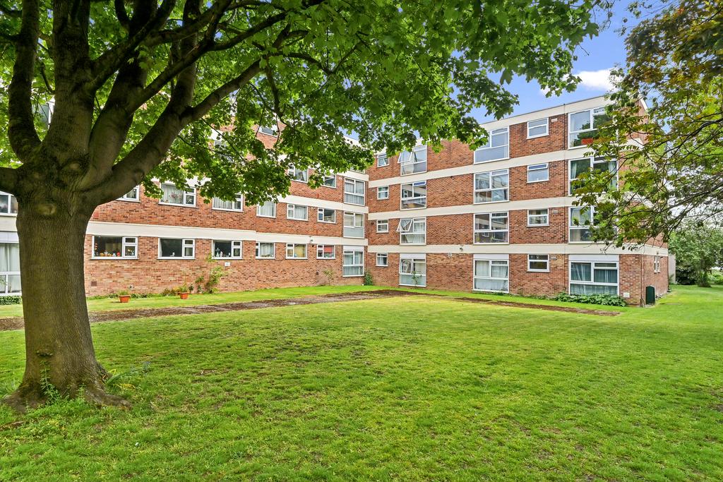 Communal Grounds