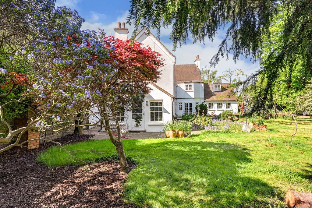 External   Garden
