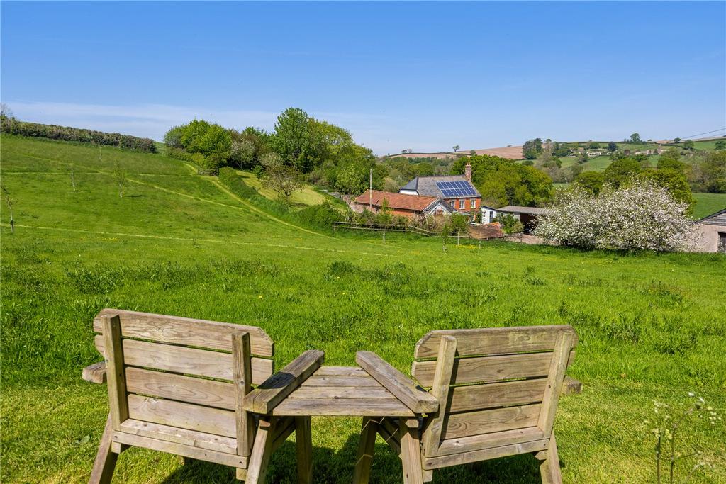 Wildflower Meadow