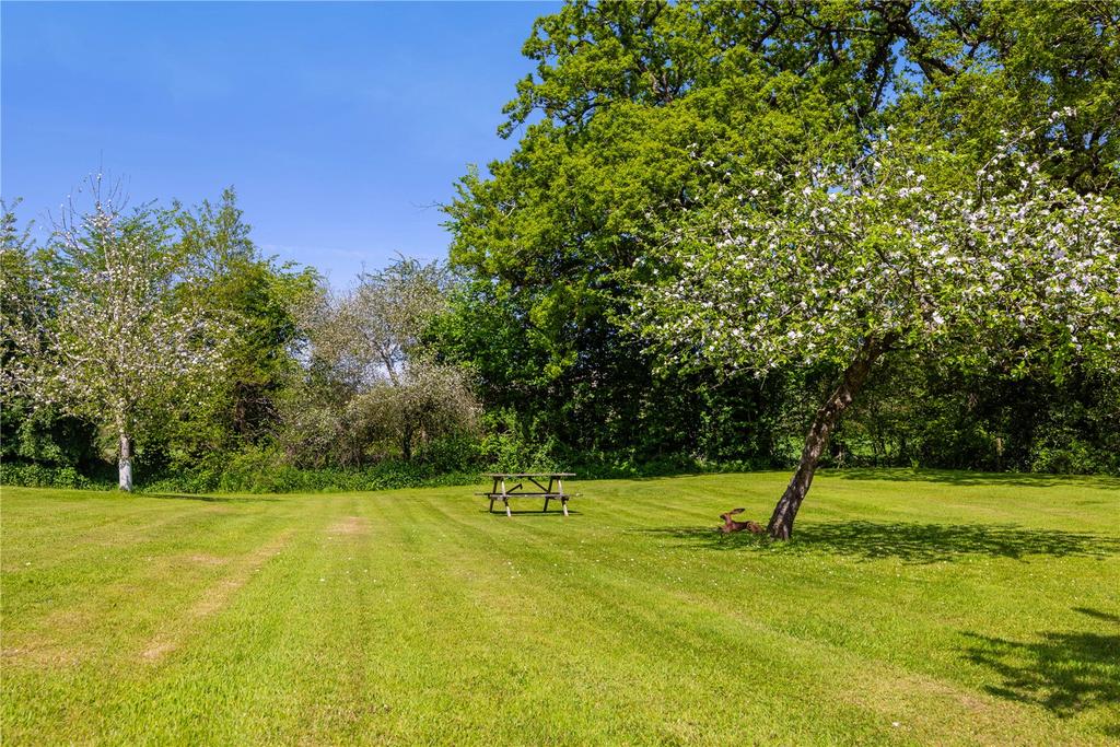 Orchard