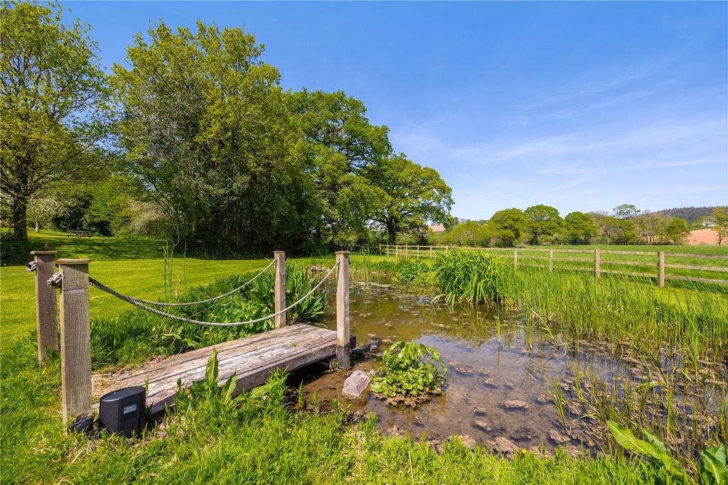 Wildlife Pond