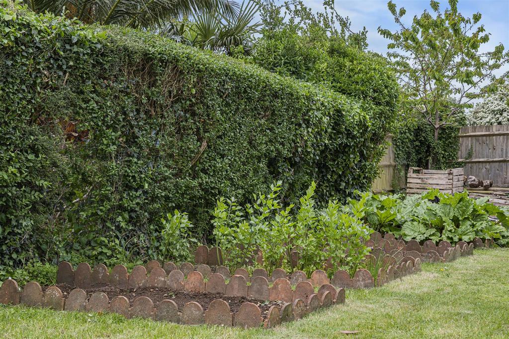 Vegetable Plot