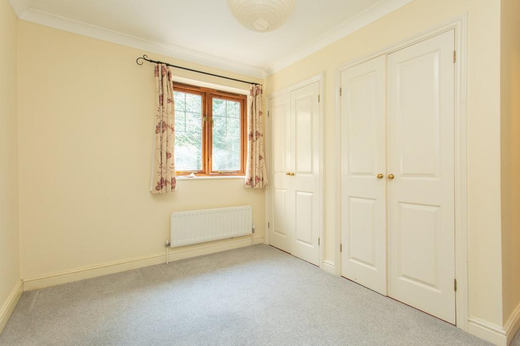 Picture 14