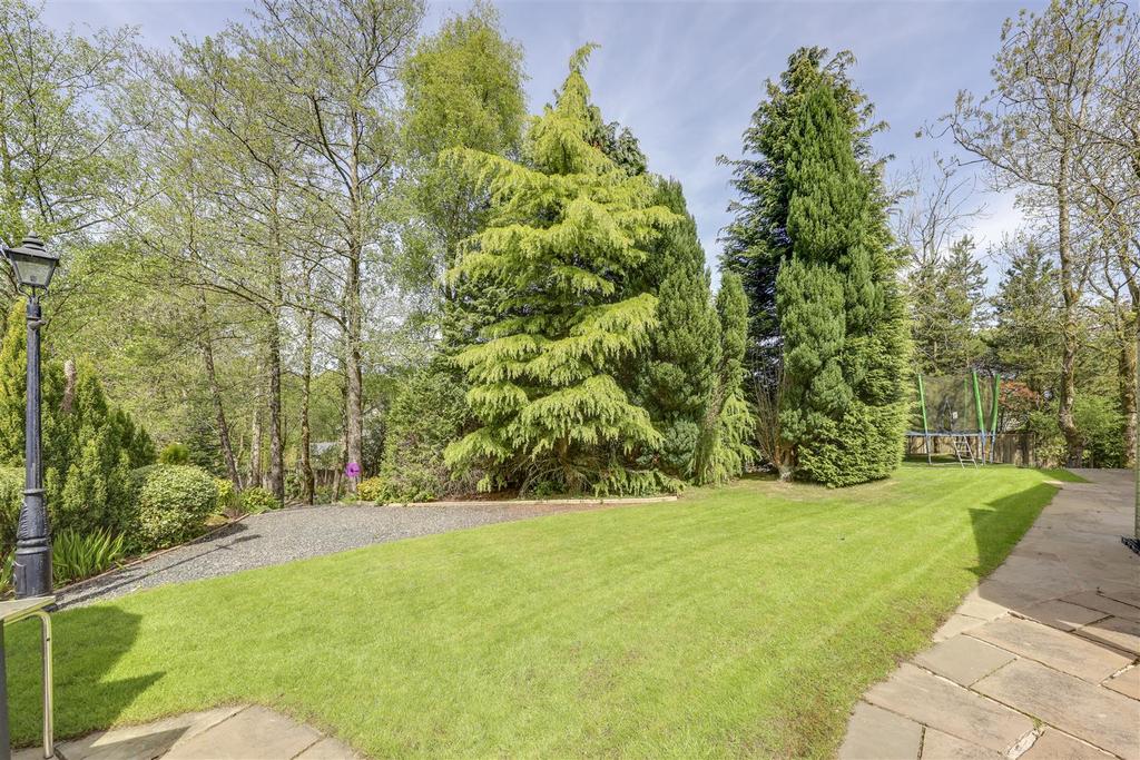Side / Rear Garden