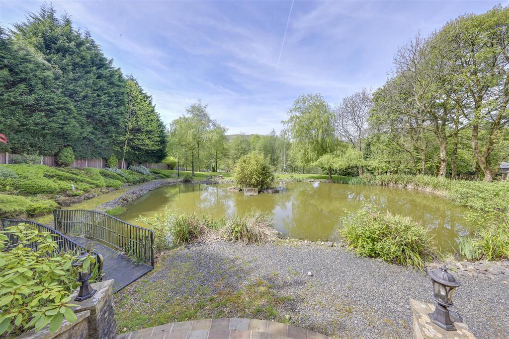 Pond &amp; Views