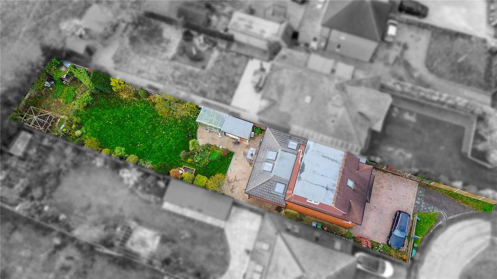 Plot Size