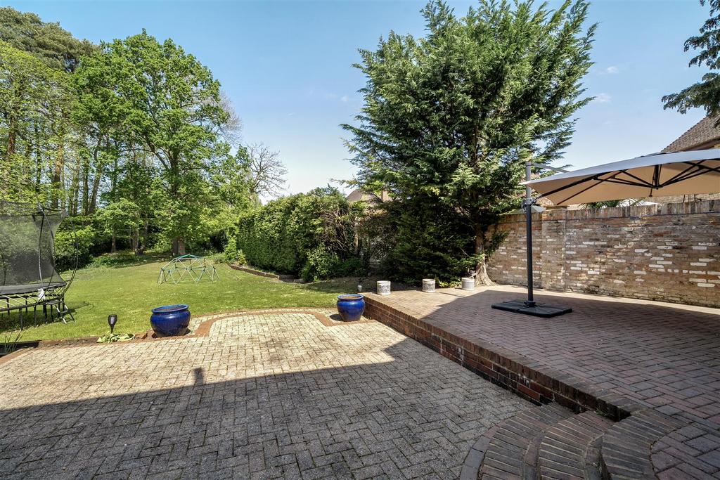 Patio Area
