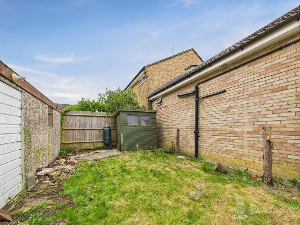 Back Garden