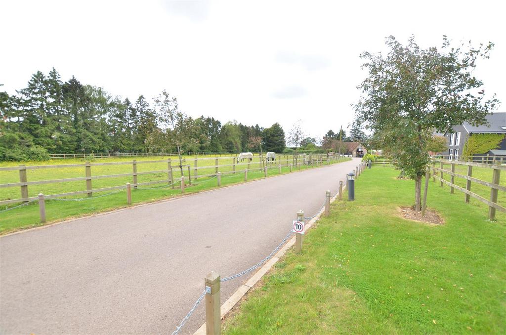 Dsc 1884.jpg