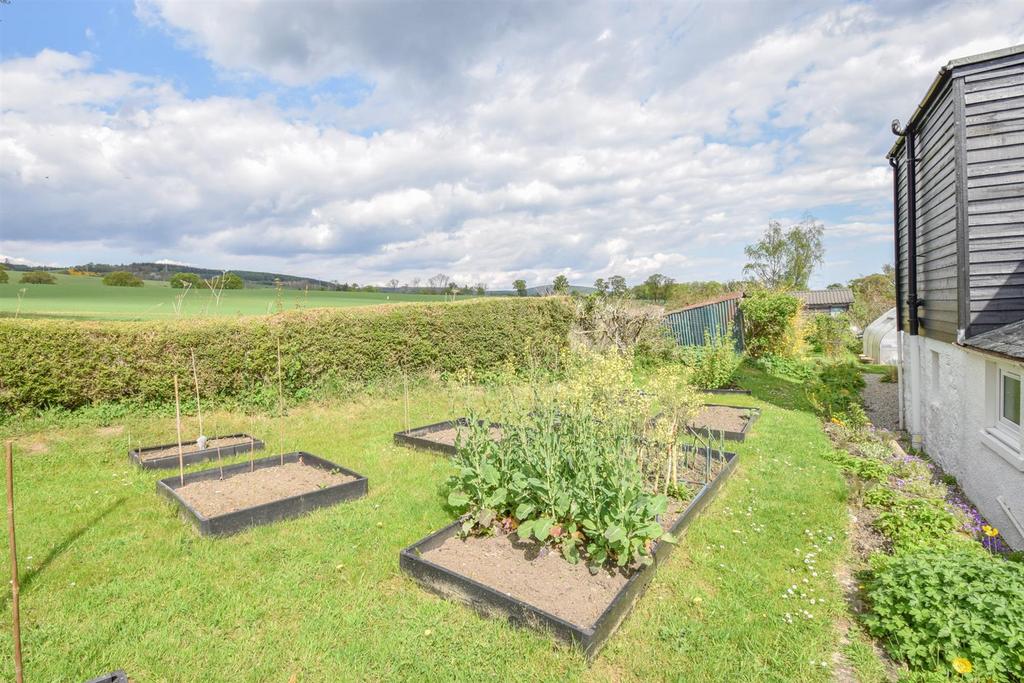 VEGETABLE BEDS-2.jpg