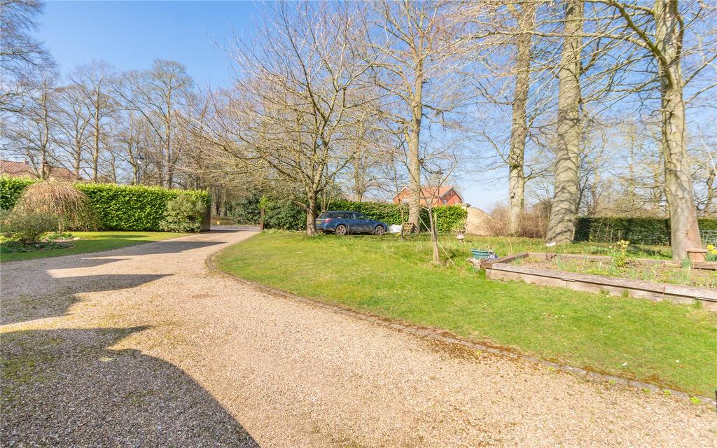 Driveway