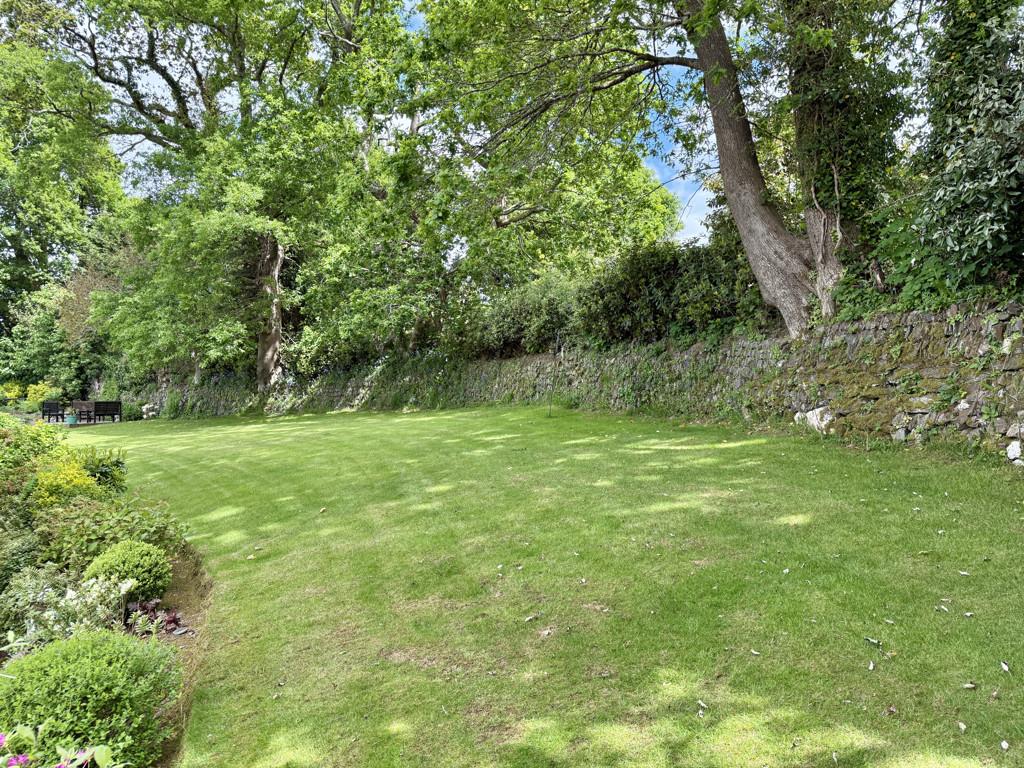 Large Lawn