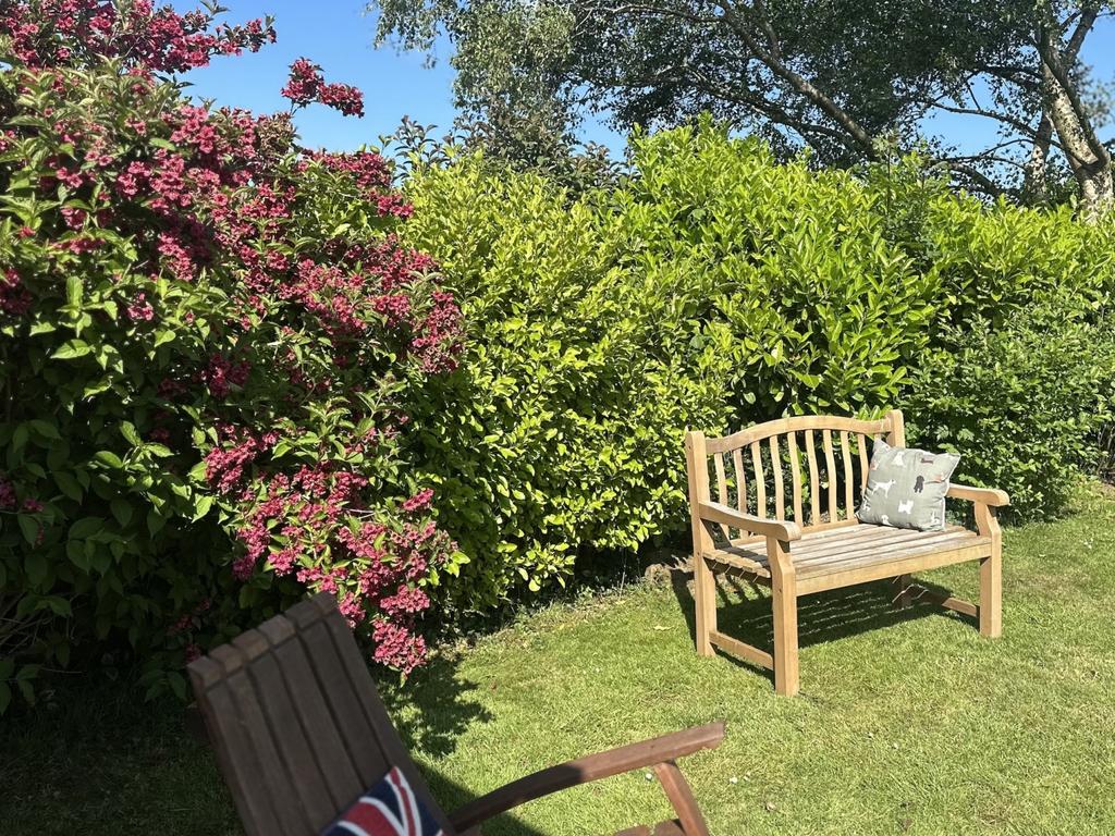 Ewe Move South Molton - Four Ways Drive - Garden