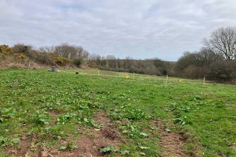 undefined, Acre Field, Golden Lane, Pembroke