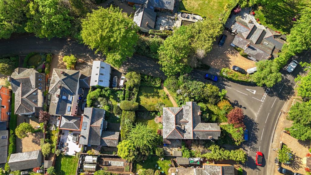 Aerial Overview