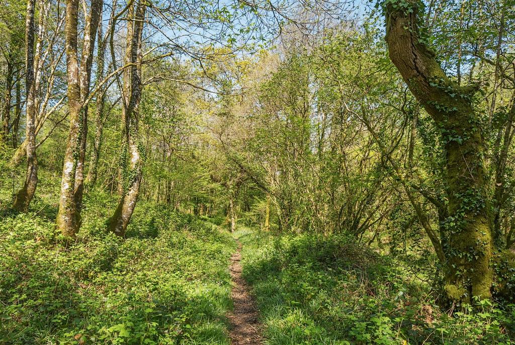 Woodlands