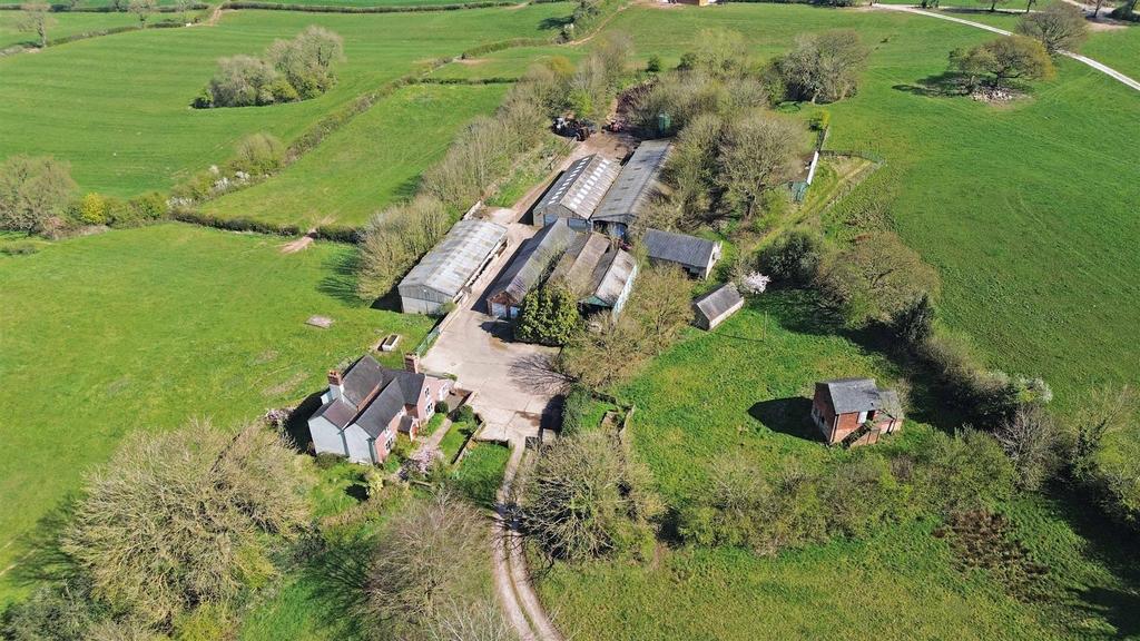 Dji 0253.jpg
