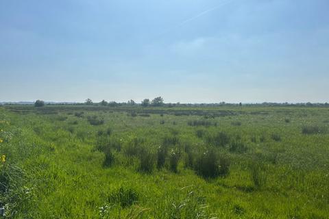 Farm land for sale, White House Drove, Heath House, Wedmore, BS28