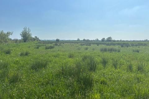 Farm land for sale, White House Drove, Heath House, Wedmore, BS28